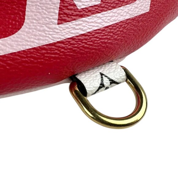 LOUIS VUITTON Giant Monogram Bum Bag Body Bag Waist Bag - Picture 9 of 14